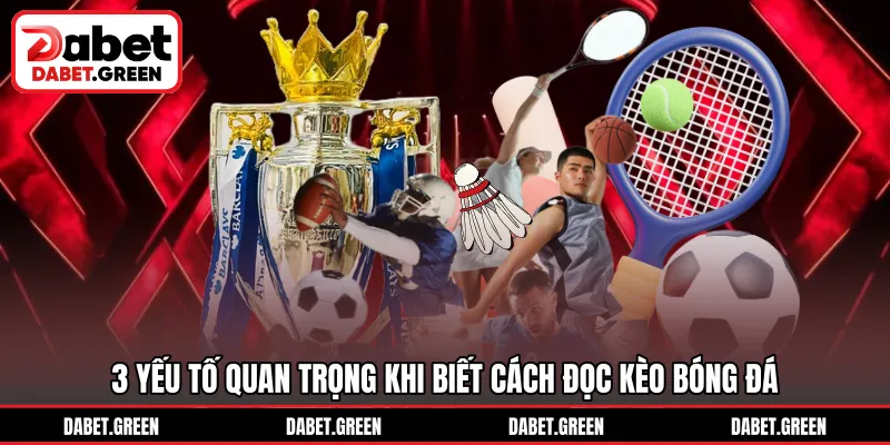 3 yếu tố quan trọng khi biết cách đọc kèo bóng đá