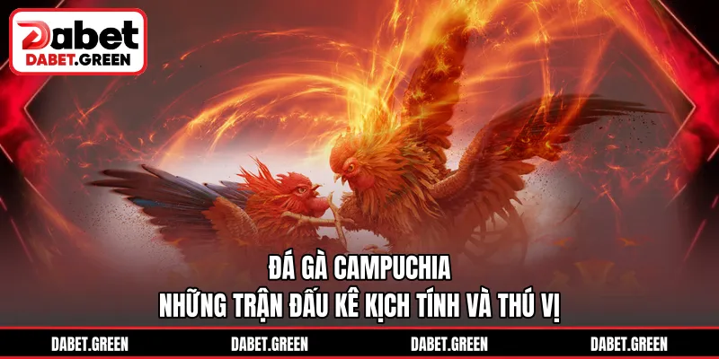 Đá Gà Campuchia – Những Trận Đấu Kê Kịch Tính Và Thú Vị