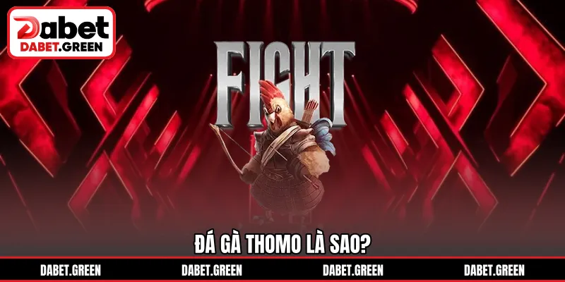 Đá gà Thomo là sao?