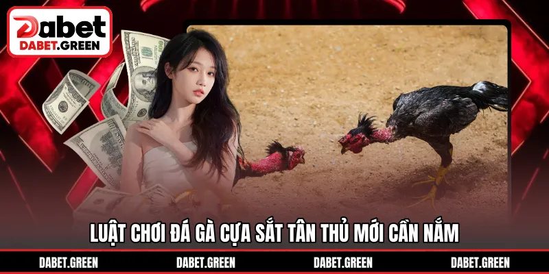Luật chơi đá gà cựa sắt tân thủ mới cần nắm