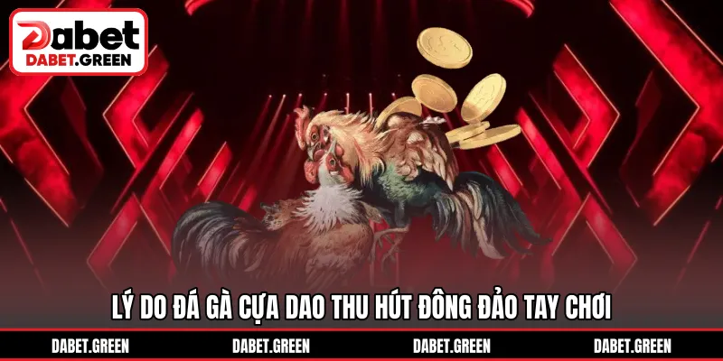 Lý do đá gà cựa dao thu hút đông đảo tay chơi