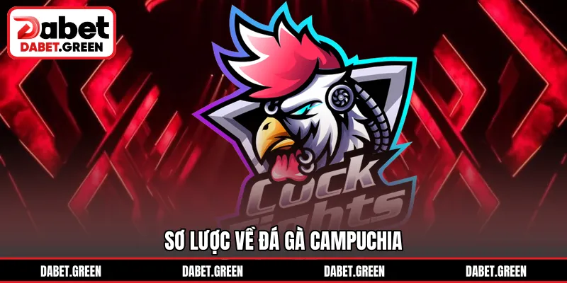 Sơ lược về đá gà Campuchia