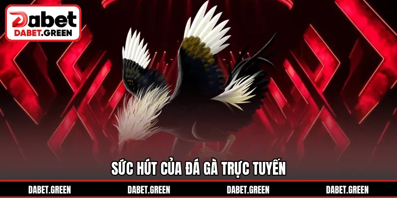 Sức hút của đá gà trực tuyến